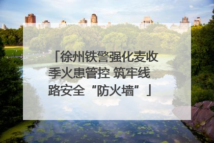 徐州铁警强化麦收季火患管控 筑牢线路安全“防火墙”
