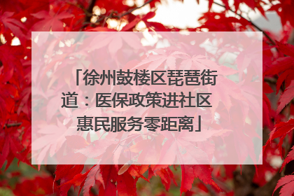 徐州鼓楼区琵琶街道：医保政策进社区 惠民服务零距离