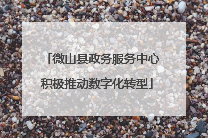 微山县政务服务中心积极推动数字化转型