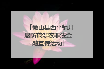 微山县西平镇开展防范涉农非法金融宣传活动