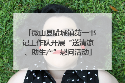 微山县驩城镇第一书记工作队开展“送清凉、助生产”慰问活动