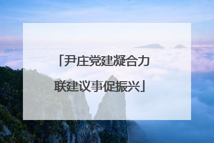 尹庄党建凝合力 联建议事促振兴