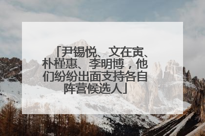 尹锡悦、文在寅、朴槿惠、李明博，他们纷纷出面支持各自阵营候选人
