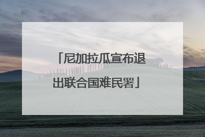 尼加拉瓜宣布退出联合国难民署