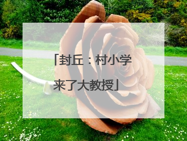 封丘：村小学来了大教授