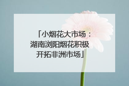 小烟花大市场：湖南浏阳烟花积极开拓非洲市场