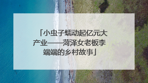 小虫子蠕动起亿元大产业——菏泽女老板李端端的乡村故事