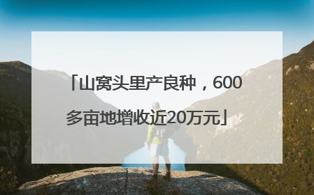 山窝头里产良种，600多亩地增收近20万元