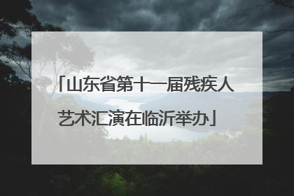山东省第十一届残疾人艺术汇演在临沂举办