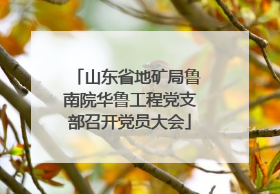 山东省地矿局鲁南院华鲁工程党支部召开党员大会