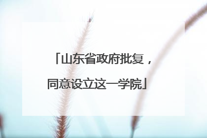 山东省政府批复，同意设立这一学院