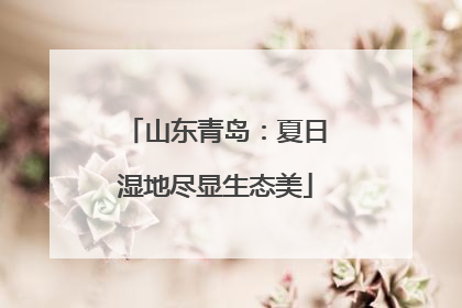 山东青岛：夏日湿地尽显生态美