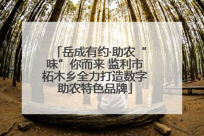 岳成有约·助农“味”你而来 监利市柘木乡全力打造数字助农特色品牌