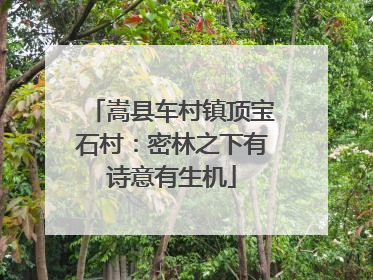 嵩县车村镇顶宝石村：密林之下有诗意有生机