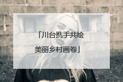 川台携手共绘美丽乡村画卷