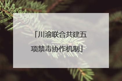 川渝联合共建五项禁毒协作机制