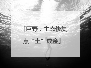 巨野：生态修复点“土”成金