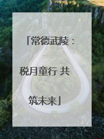 常德武陵：税月童行 共筑未来