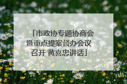 市政协专题协商会暨重点提案督办会议召开 黄喜忠讲话