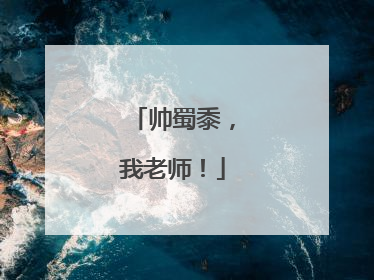 帅蜀黍，我老师！