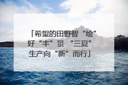 希望的田野智“绘”好“丰”景 “三夏”生产向“新”而行