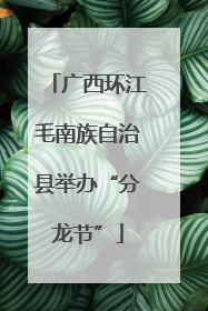 广西环江毛南族自治县举办“分龙节”