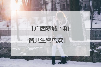 广西罗城：和谐共生鹭鸟欢