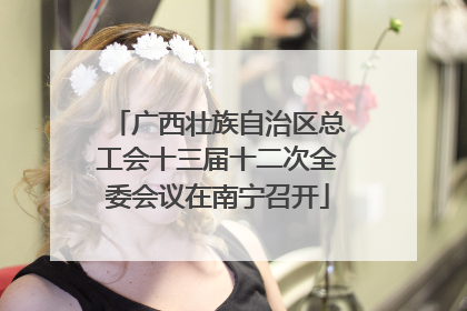 广西壮族自治区总工会十三届十二次全委会议在南宁召开