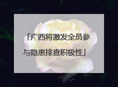 广西将激发全员参与隐患排查积极性