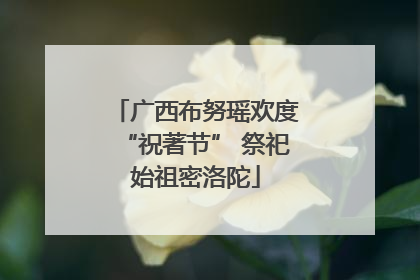广西布努瑶欢度“祝著节” 祭祀始祖密洛陀