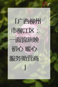 广西柳州市柳江区：一面锦旗映初心 暖心服务助营商