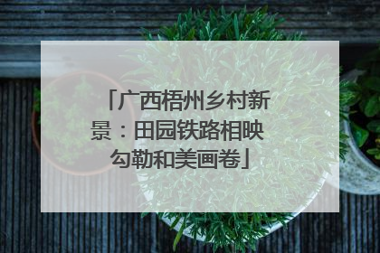 广西梧州乡村新景：田园铁路相映 勾勒和美画卷