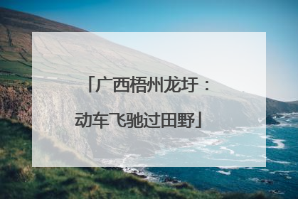 广西梧州龙圩：动车飞驰过田野