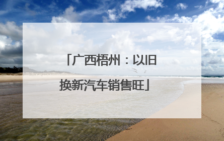 广西梧州：以旧换新汽车销售旺