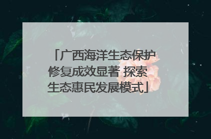 广西海洋生态保护修复成效显著 探索生态惠民发展模式