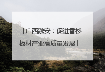广西融安：促进香杉板材产业高质量发展