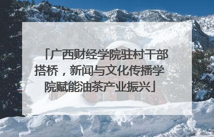 广西财经学院驻村干部搭桥，新闻与文化传播学院赋能油茶产业振兴