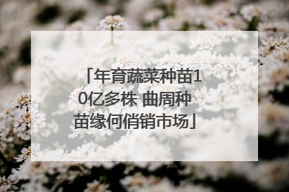 年育蔬菜种苗10亿多株 曲周种苗缘何俏销市场