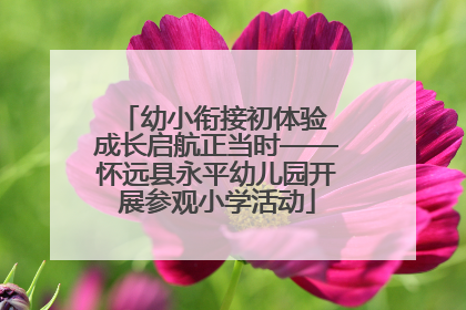 幼小衔接初体验 成长启航正当时——怀远县永平幼儿园开展参观小学活动
