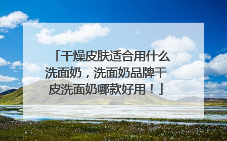 干燥皮肤适合用什么洗面奶，洗面奶品牌干皮洗面奶哪款好用！