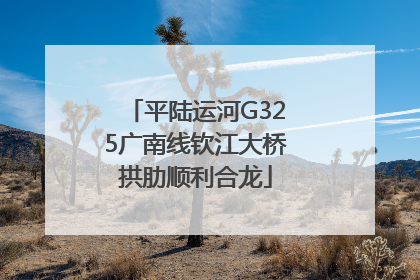 平陆运河G325广南线钦江大桥拱肋顺利合龙