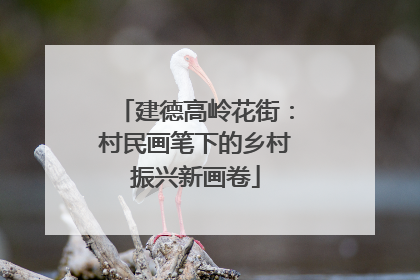 建德高岭花街：村民画笔下的乡村振兴新画卷