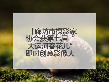 廊坊市摄影家协会获第七届“大运河春花儿”即时创意影像大赛优秀组织奖