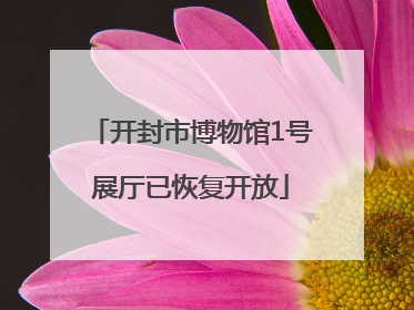 开封市博物馆1号展厅已恢复开放