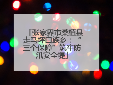 张家界市桑植县走马坪白族乡：“三个保障”筑牢防汛安全堤