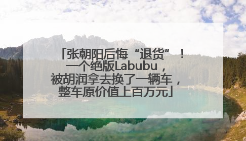 张朝阳后悔“退货”！一个绝版Labubu，被胡润拿去换了一辆车，整车原价值上百万元