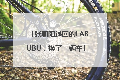 张朝阳退回的LABUBU，换了一辆车