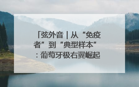 弦外音｜从“免疫者”到“典型样本”：葡萄牙极右翼崛起背后的欧洲困局