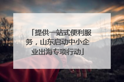 提供一站式便利服务，山东启动中小企业出海专项行动