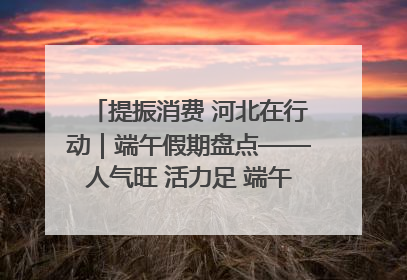 提振消费 河北在行动｜端午假期盘点——人气旺 活力足 端午经济“热浪”迭起